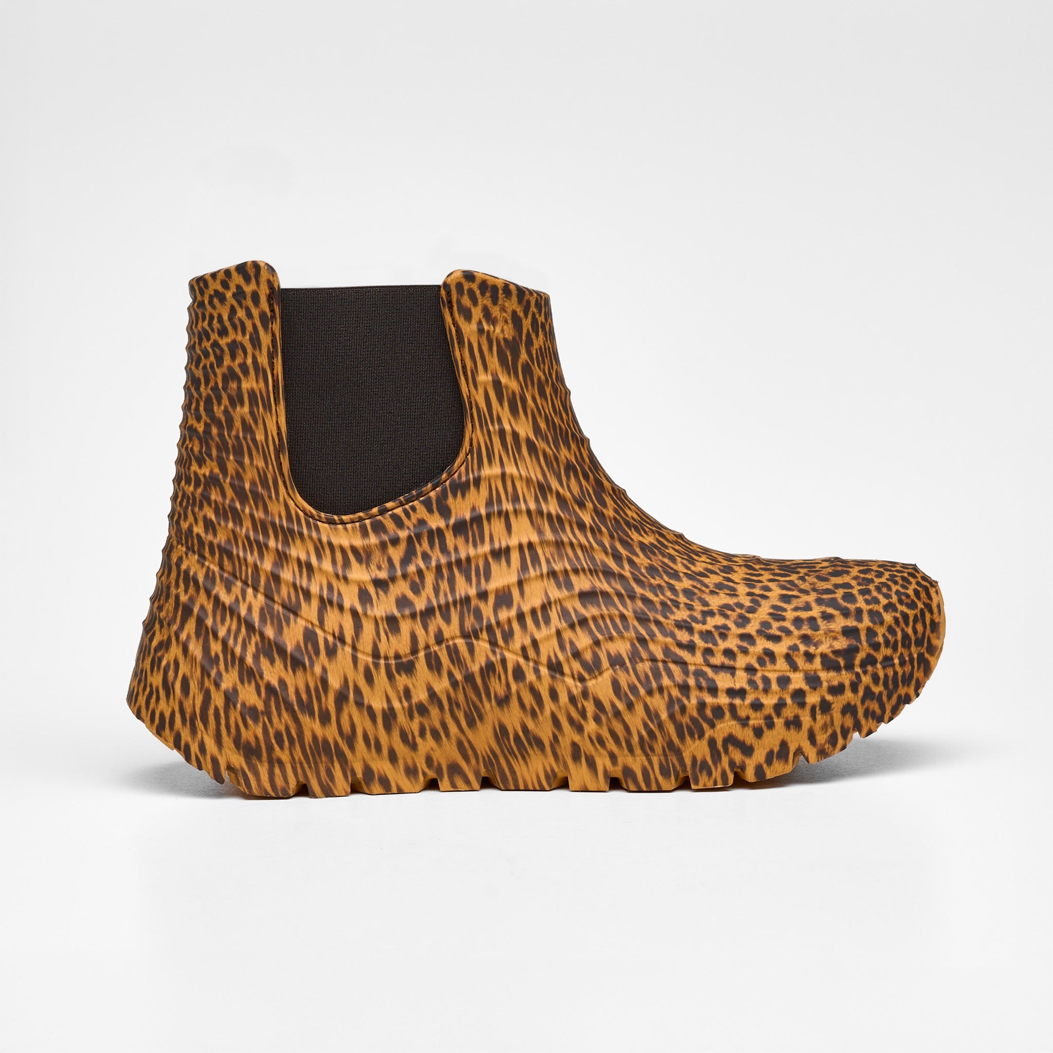 Eolo Cheetah - Cheetah