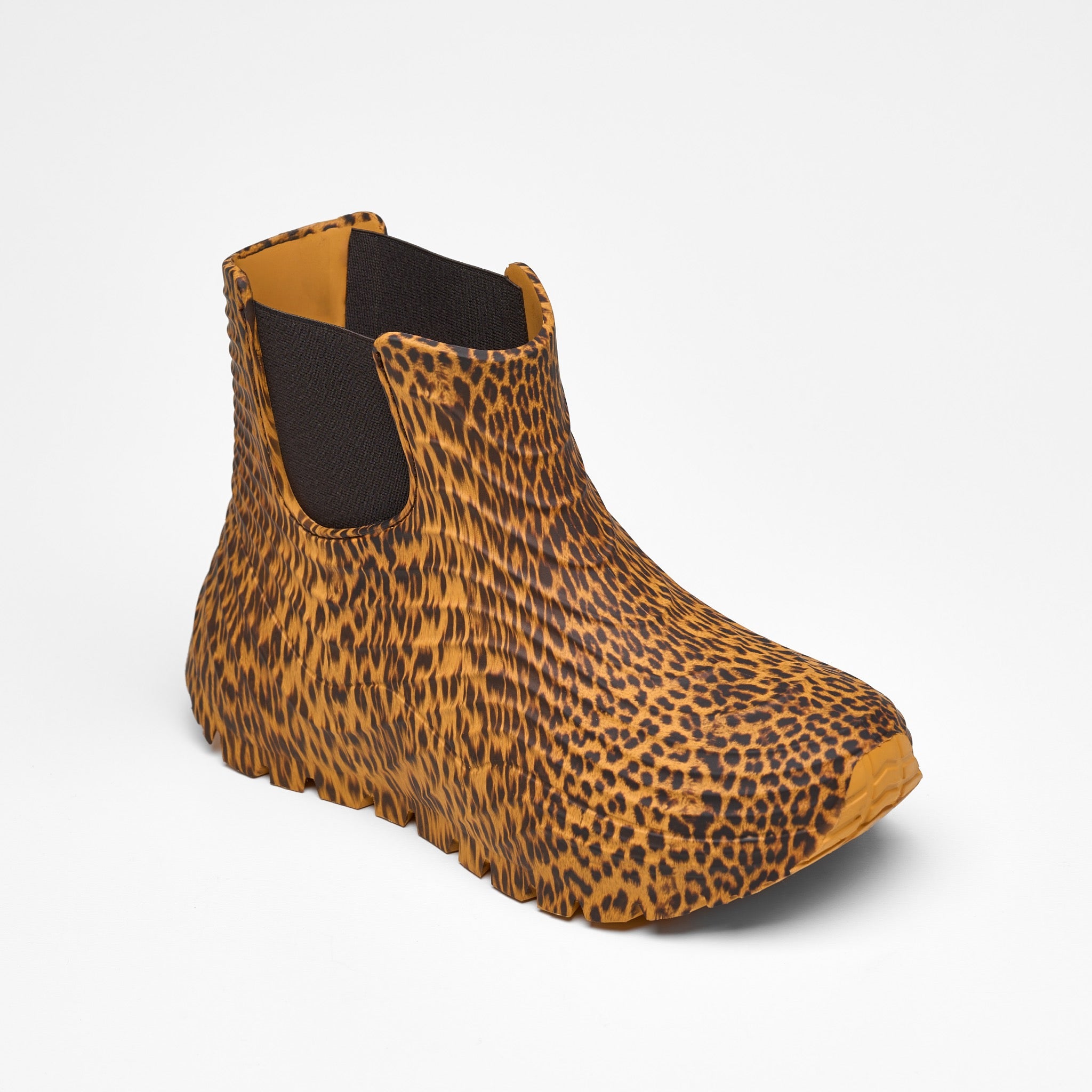 Eolo Cheetah - Cheetah