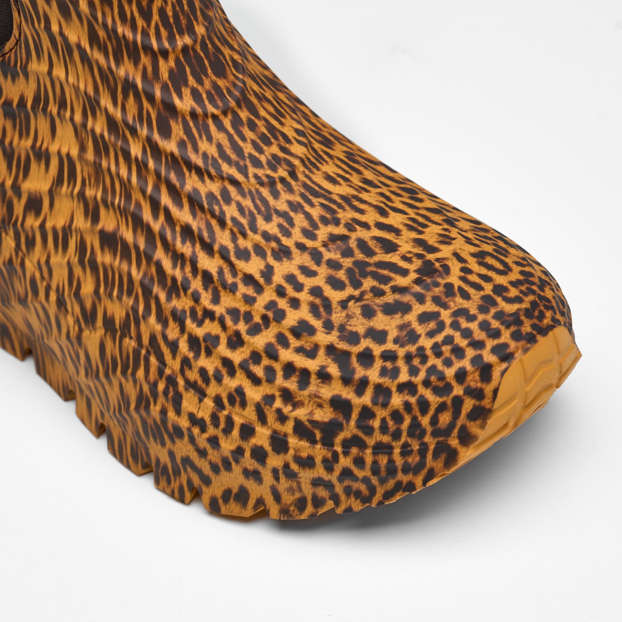 Eolo Cheetah - Cheetah